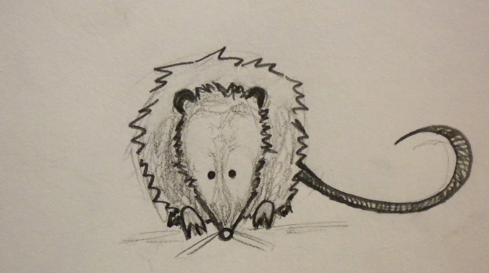 Опоссум рисунок карандашом