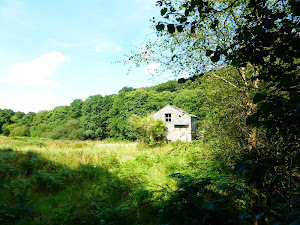 Sunny day at the barn