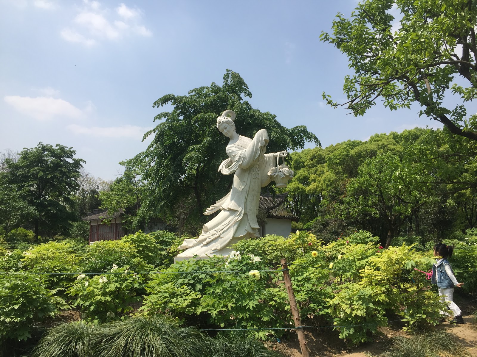 Future Plants By Randy Stewart Viburnum Part 2