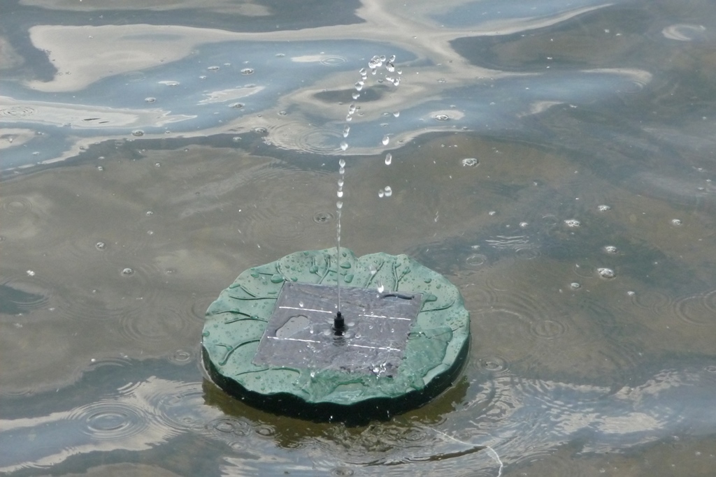 Mein Testblog Nicki testet den Duramaxx Sunfountain Garten Teich