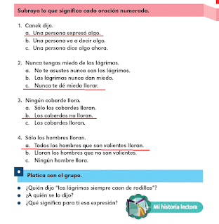 Respuestas Apoyo Primaria Español 2do grado Bloque 1 lección 16 Canek dijo