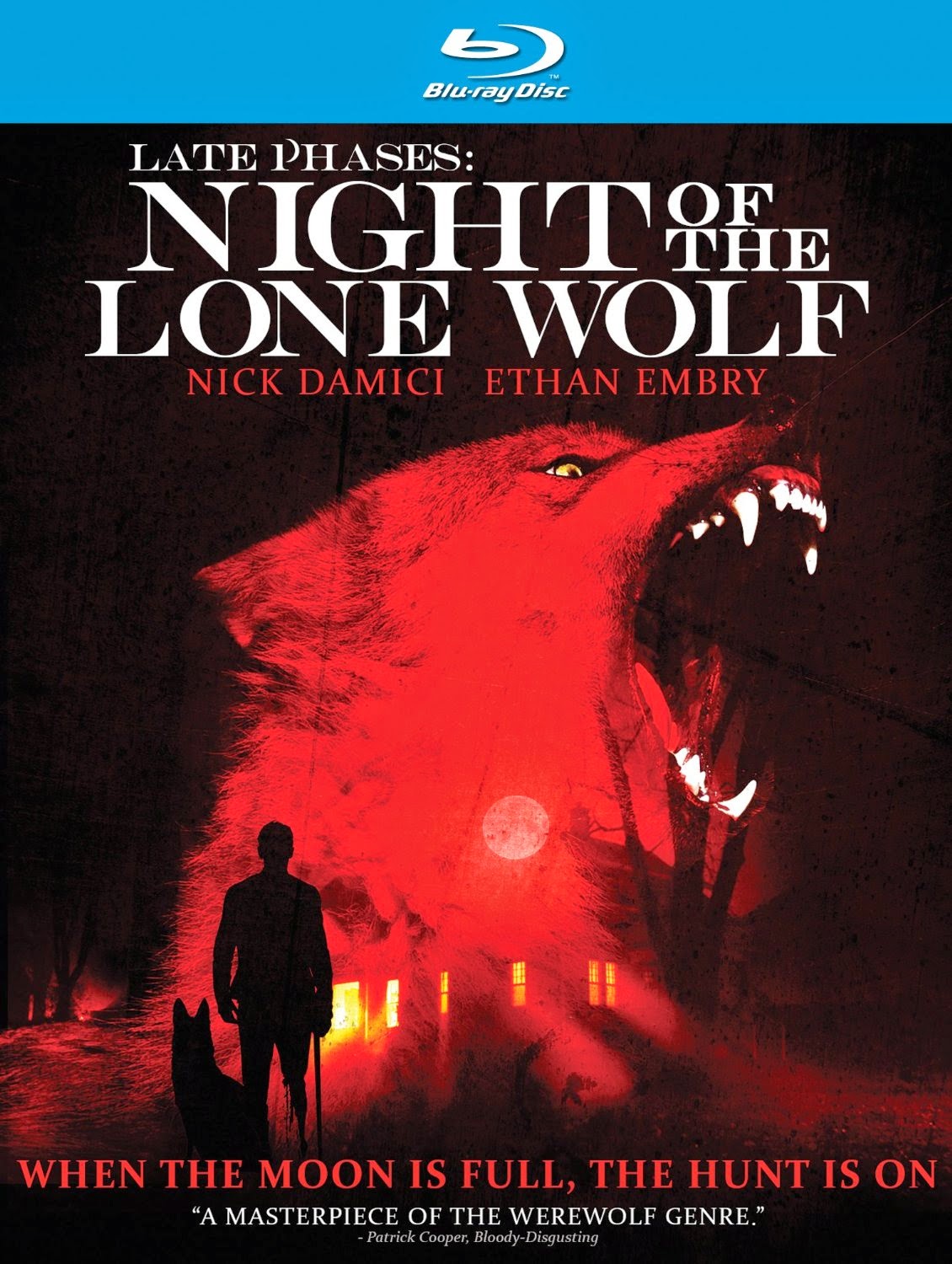 поздние фазы. поздние фазы 2014 оборотень. фазы аллергического ответа. что такое поздняя фаза заболевания?. поздняя фаза аллергической реакции.