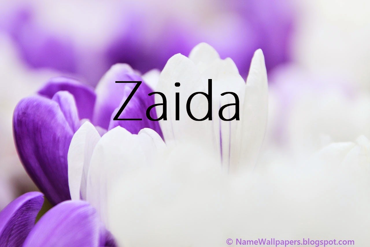 Zaida Name Wallpapers Zaida Name Wallpaper Urdu Name Meaning Name Images Logo Signature