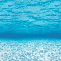 Beach Themed Classroom Ideas Printable Classroom