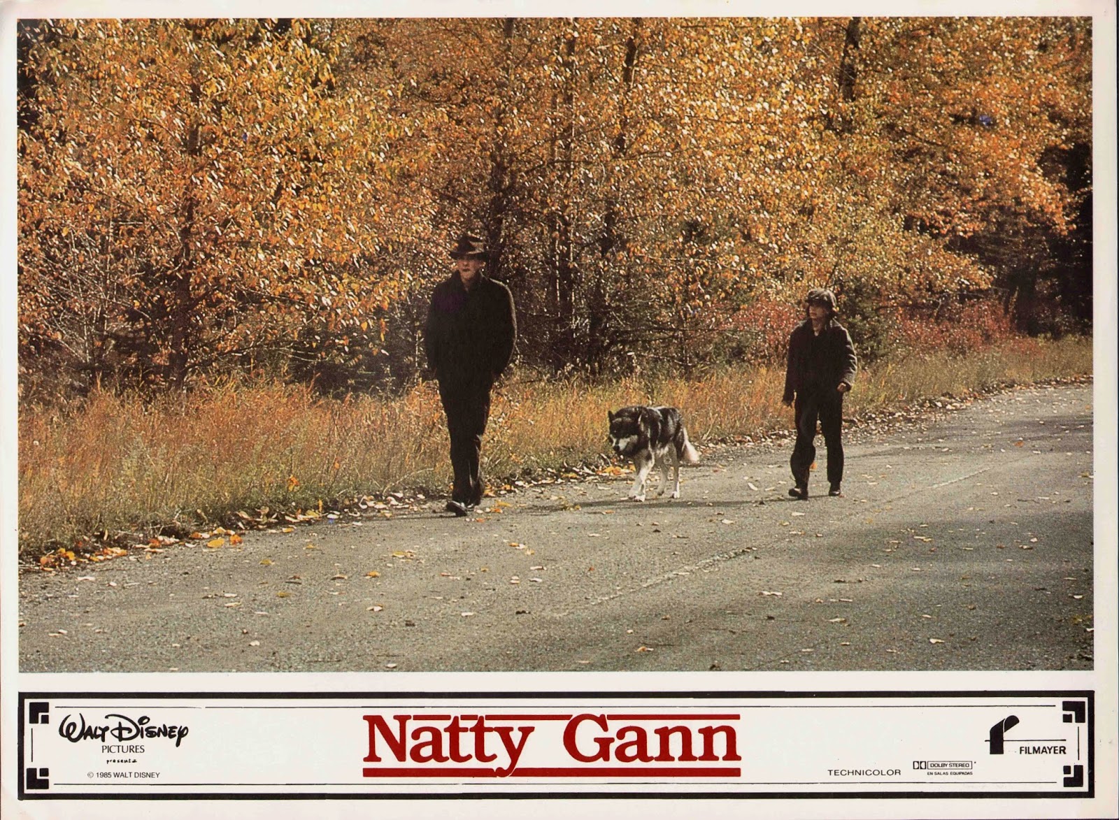 Affiches Photos d'exploitation Bandes annonces Natty Gann (1985