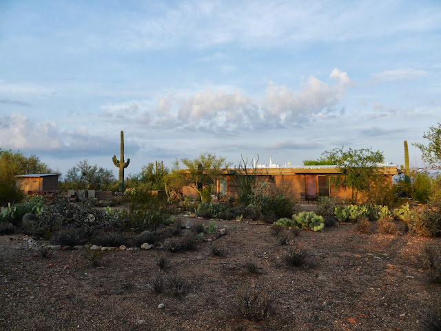 Casa Arreboles Tucson Saguaro Arizona