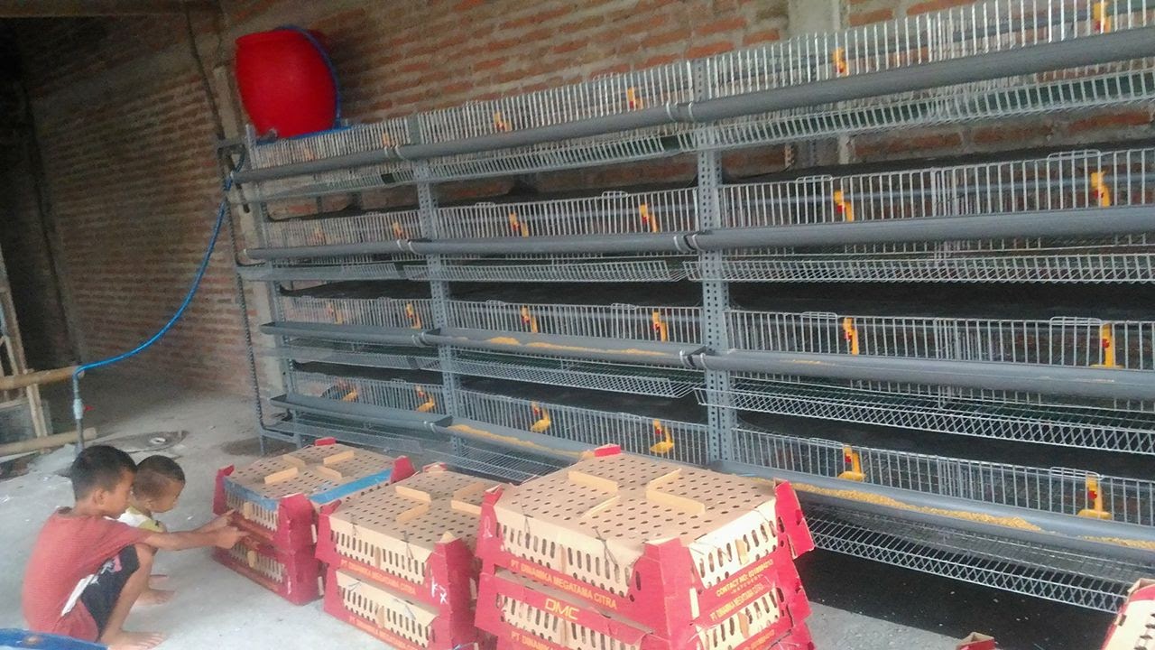 KANDANG PUYUH GALVANISH