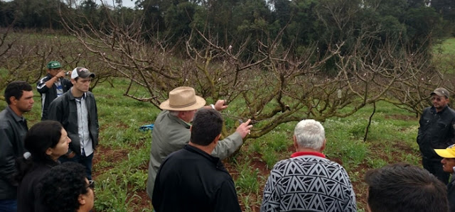 Agricultores de Nova Tebas e Iretama realizam visita técnica em Roncador