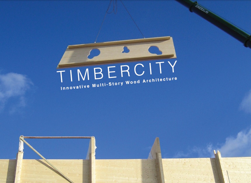SW Oregon Architect TimberCity