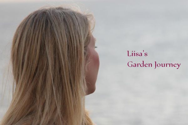 Liisa's Garden Journey