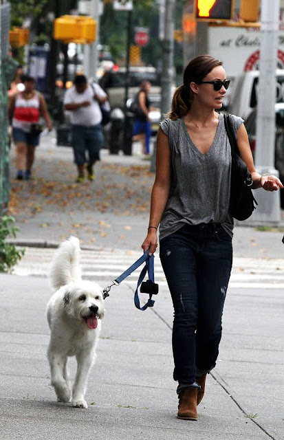 Olivia Wilde in Jeans Walking Dog in NY