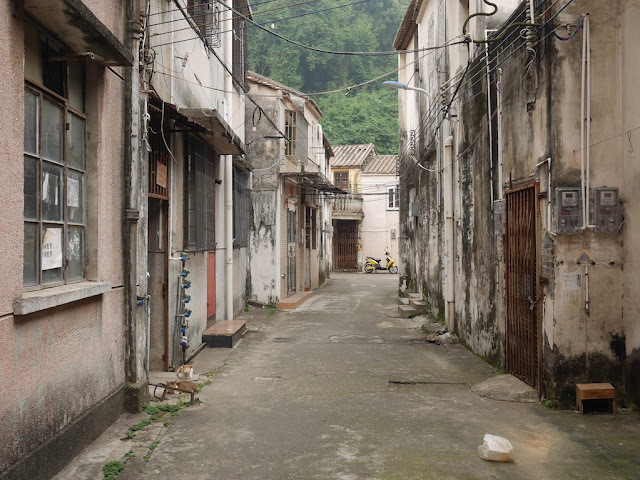 two cats sitting in Julong Zhong (巨龙中) alley