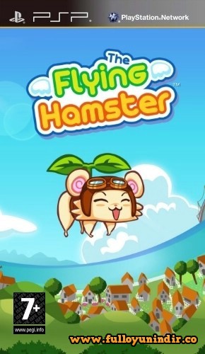 Flying Hamster