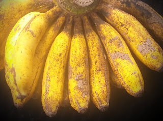 gambar pisang raja sereh
