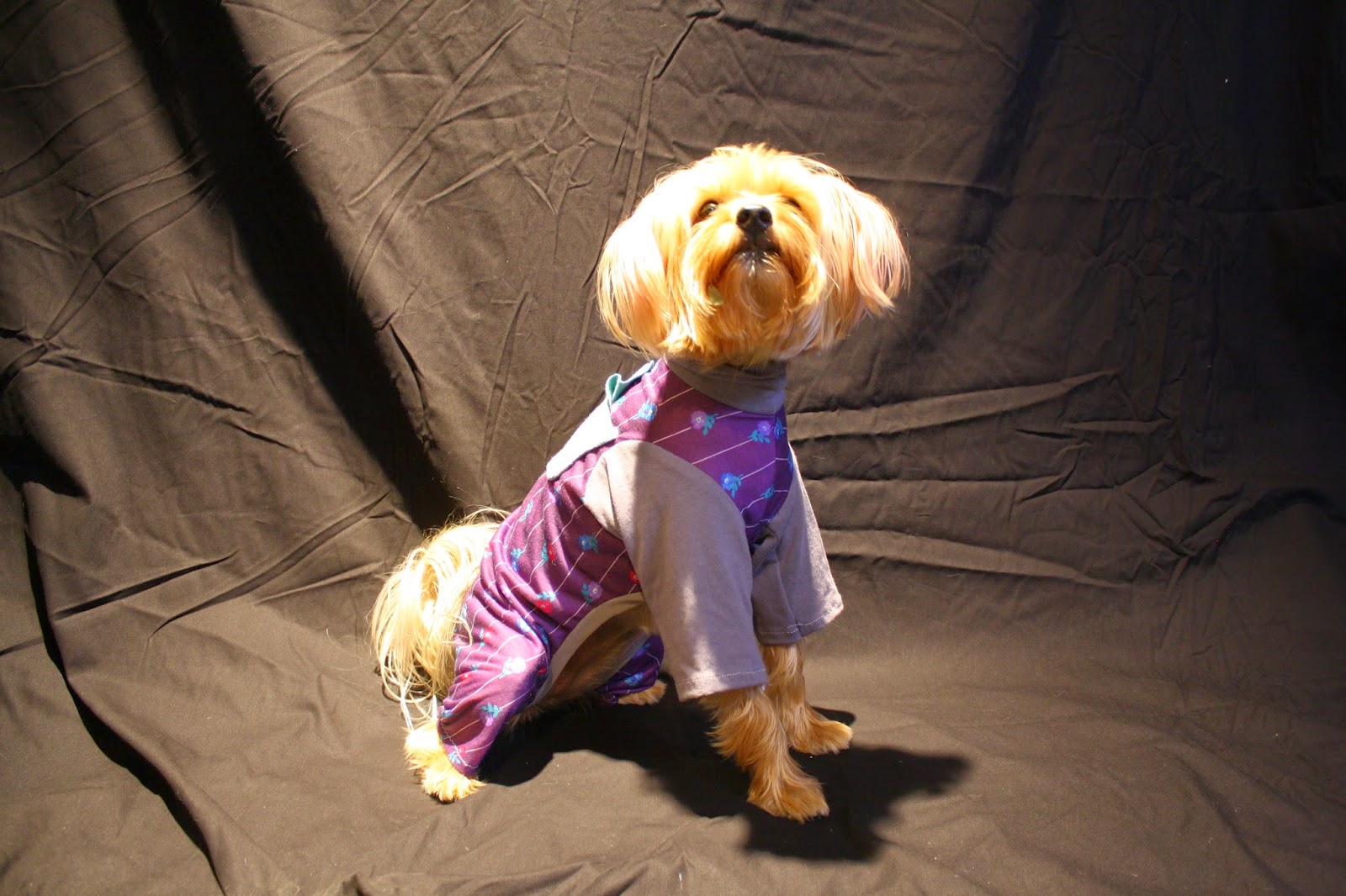 Sewing Classes in Seattle