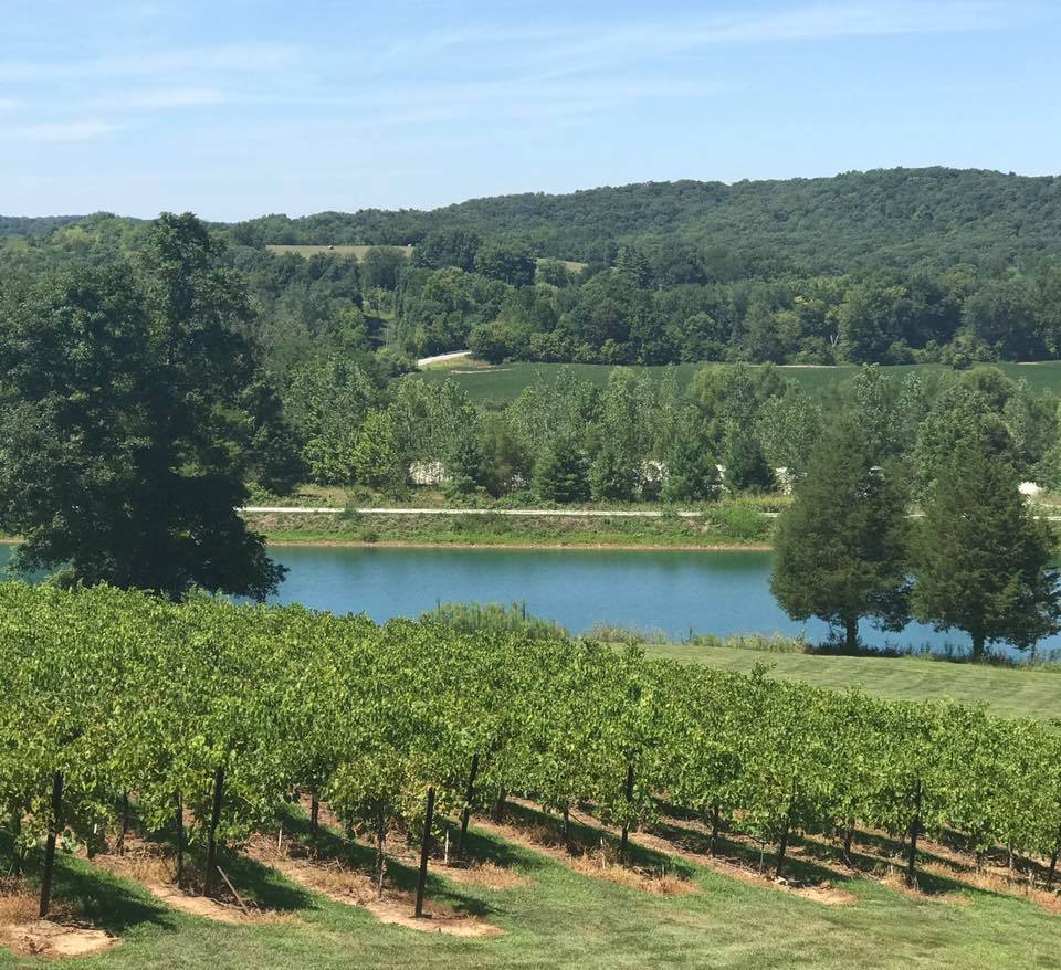 Missouri Wineries Near St. Louis Our Good Life