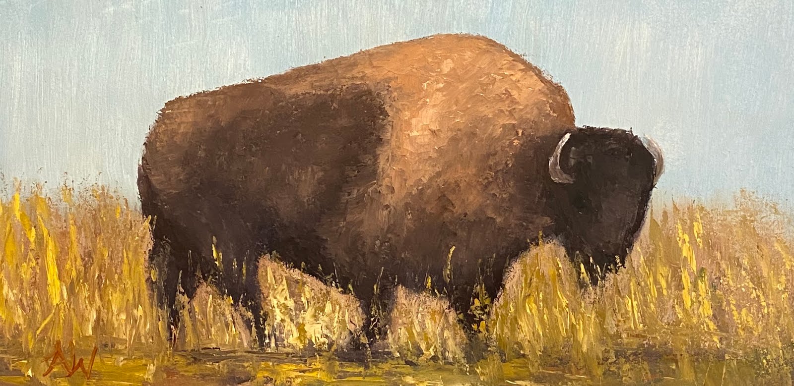 “Buffalo grazer”