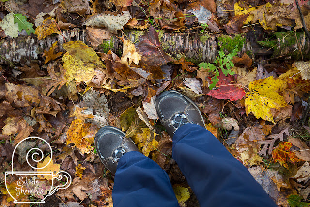 Image looking down at hiking boots and navy pants standing in fall foliage and a fallen trunk of a birch tree.