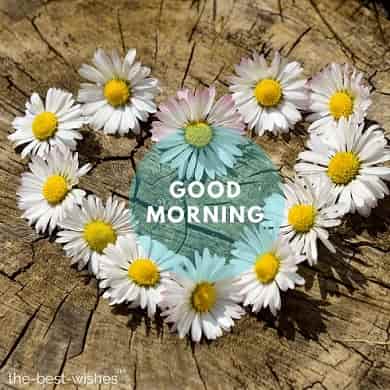 monday-morning-love-images-for-whatsapp monday morning love images for whatsapp