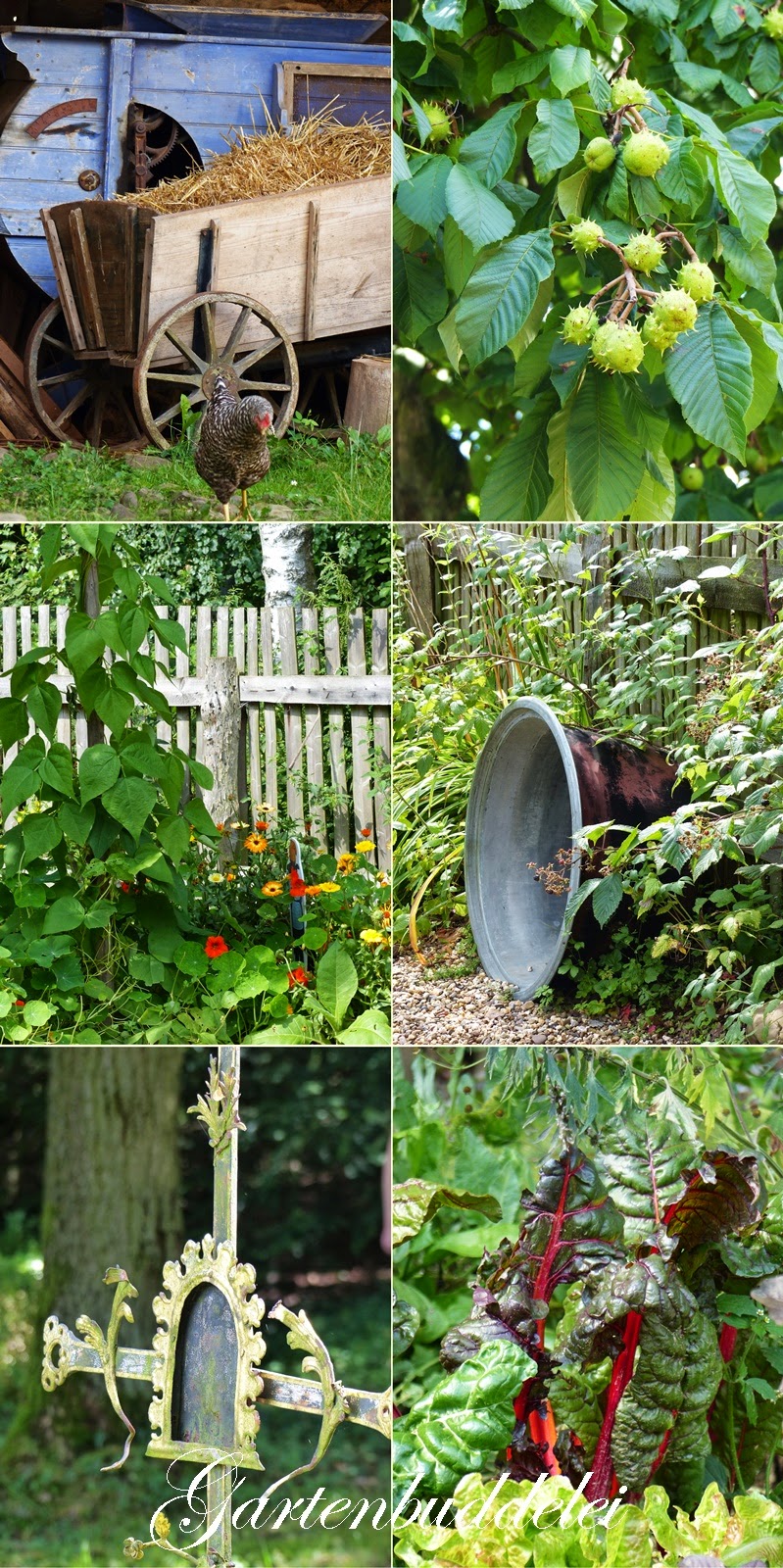 Auf Entdeckungsreise Zu Den Schatzen Der Eifel Inhalt