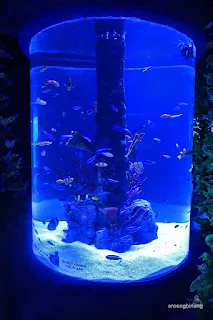 jakarta aquarium neo soho