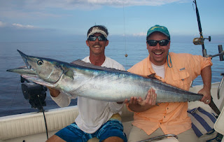 mahi snapper wahoo gray