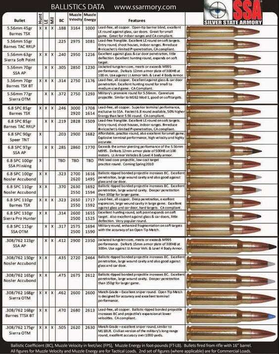 Ammo and Gun Collector: Comparison Of Popular Hunting Rifle Ammo Calibers