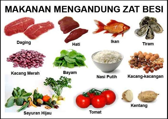 Catatan Elisa Koraag Maltofer Suplemen Zat Besi Rasa Coklat Swiss Dari Combiphar
