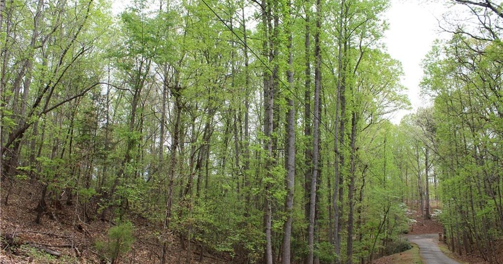 Lake Sidney Lanier Homes Blog Just Sold! Two Waterfront Land Tracts