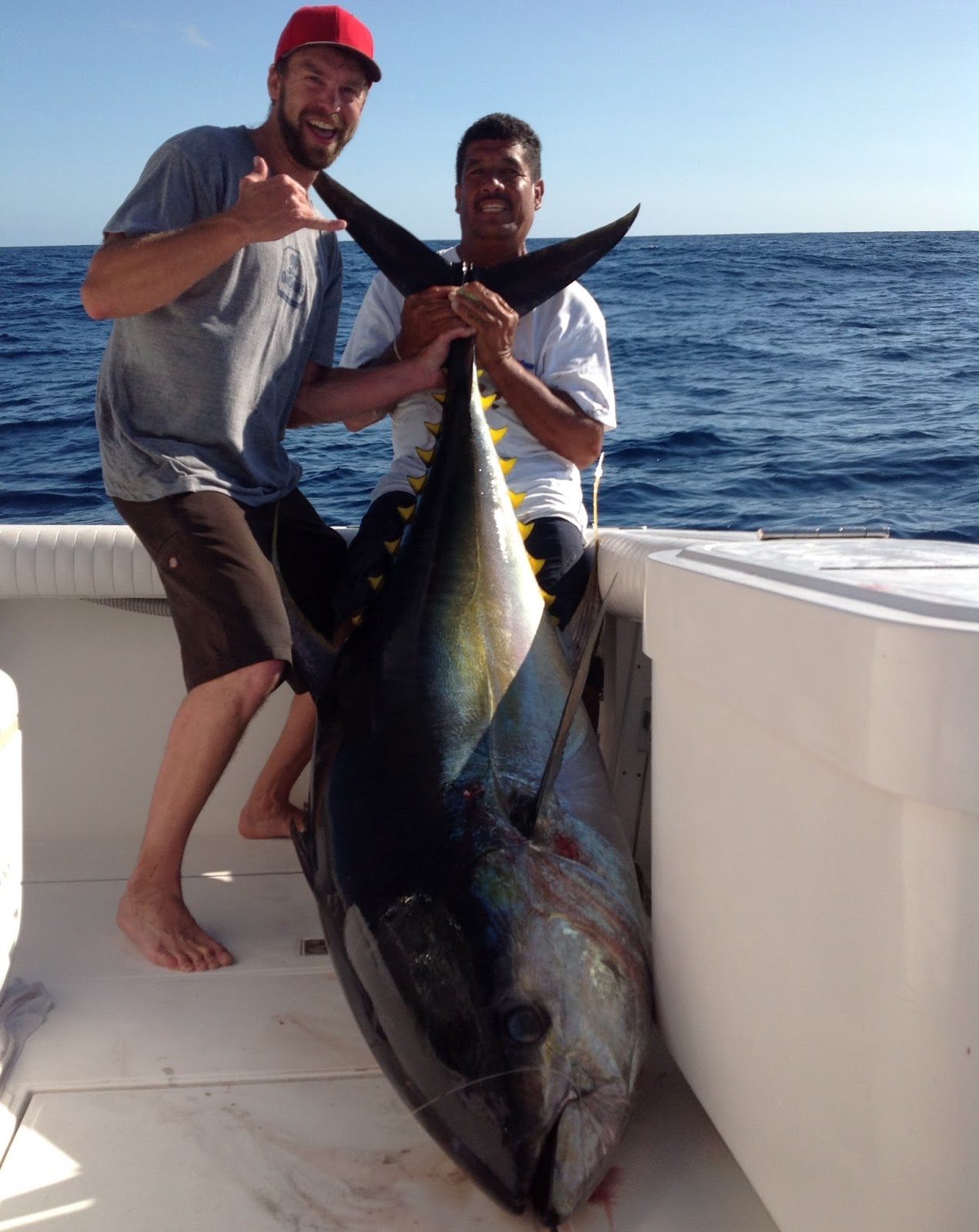 PV Sportfishing Yellowfin Tuna fishing in Puerto Vallarta Mexico