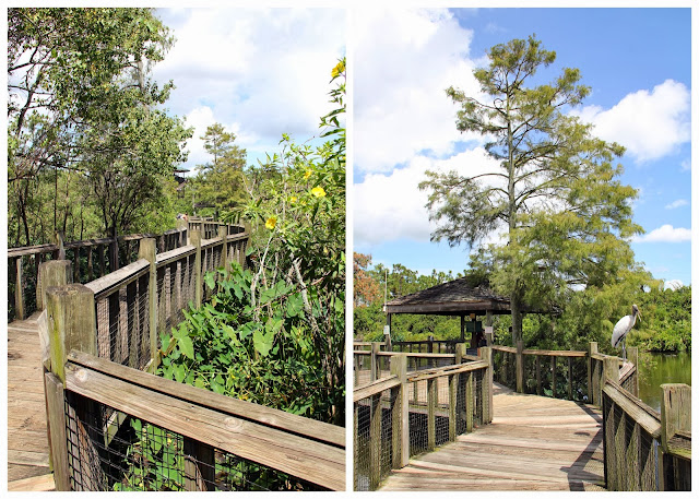 Like A Fat Kid Loves Cake: Orlando with the Stokers: Gatorland