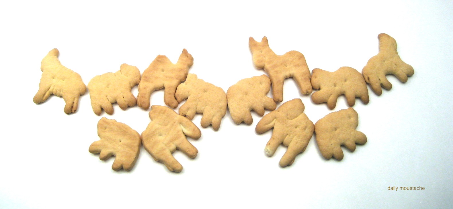 free clip art animal crackers - photo #3
