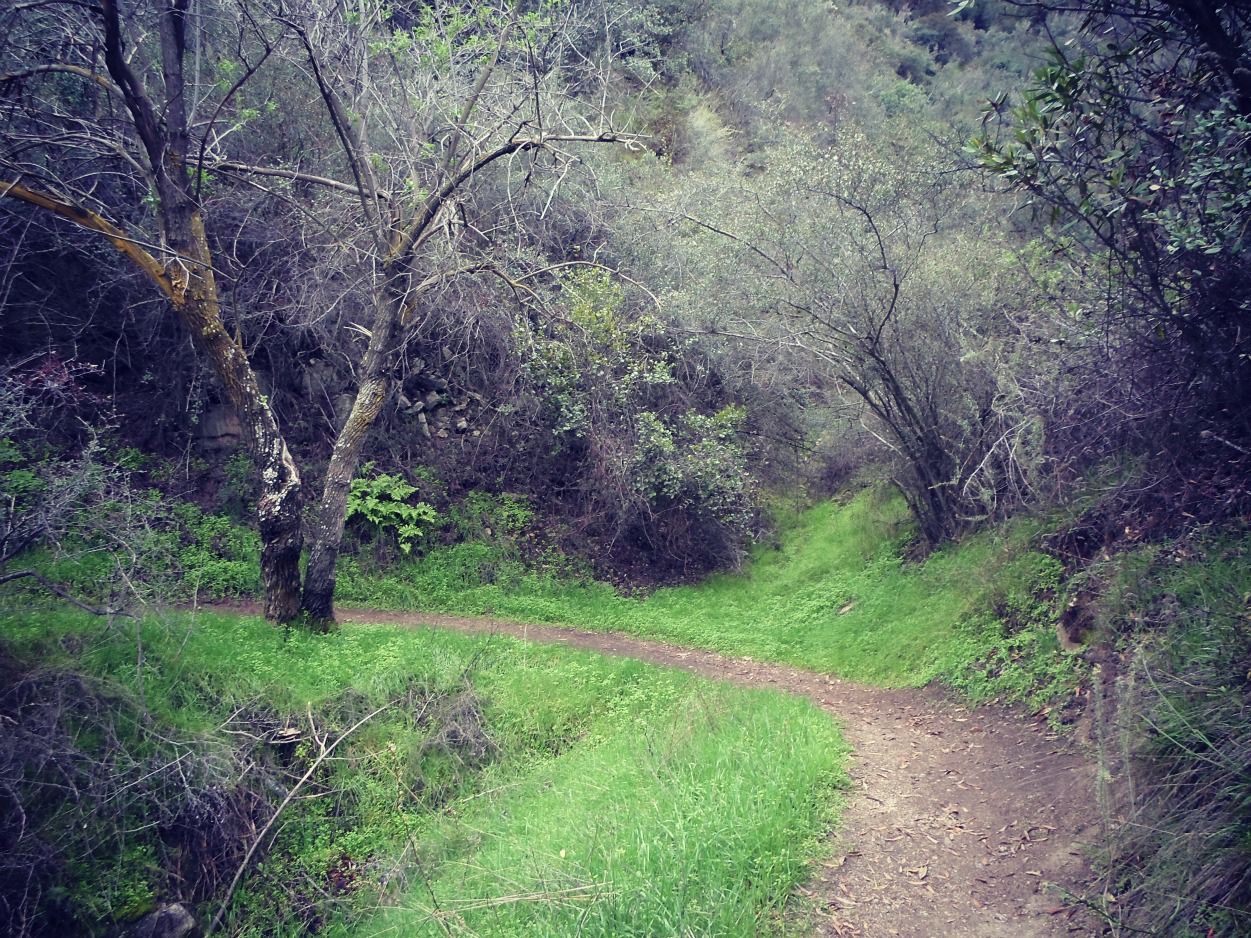 Wild Photography La Tuna Canyon