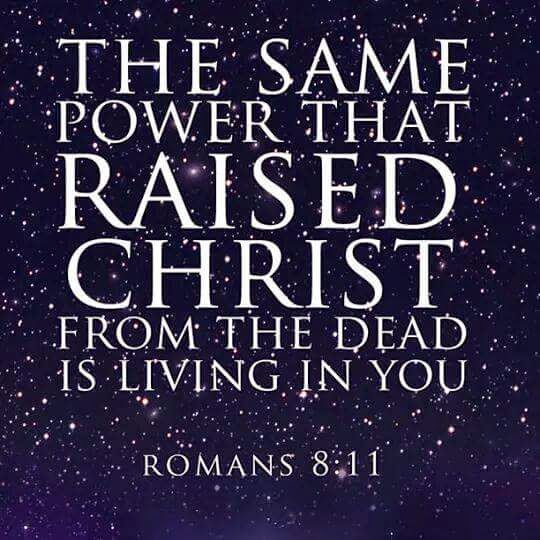 Romans 811