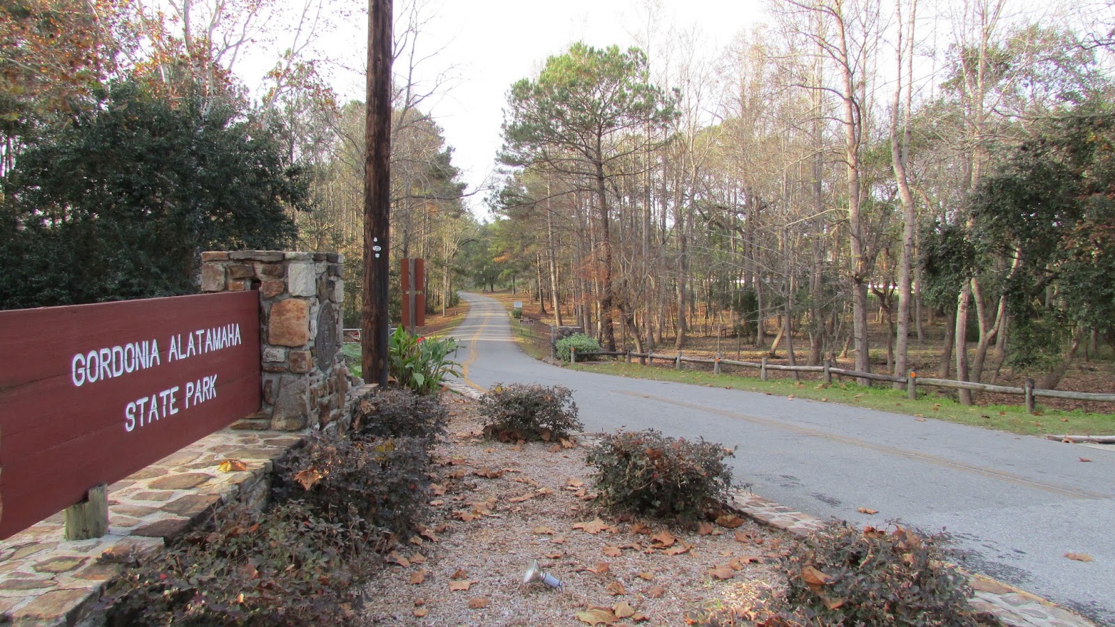 Adventures Of Toaster Gordonia Alatamaha State Park, Reidsville, GA.