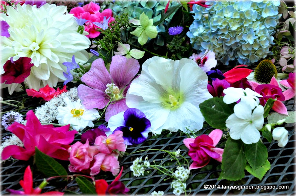 MySecretGarden Pacific NW (zone 8a) Flower Basket In September