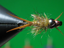 nest fly trout birds depth charge blogthis email
