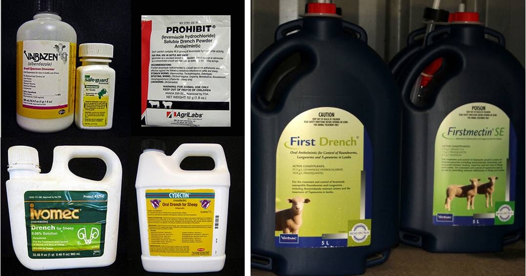 Shepherd's Notebook Combination Dewormers The Time is Now