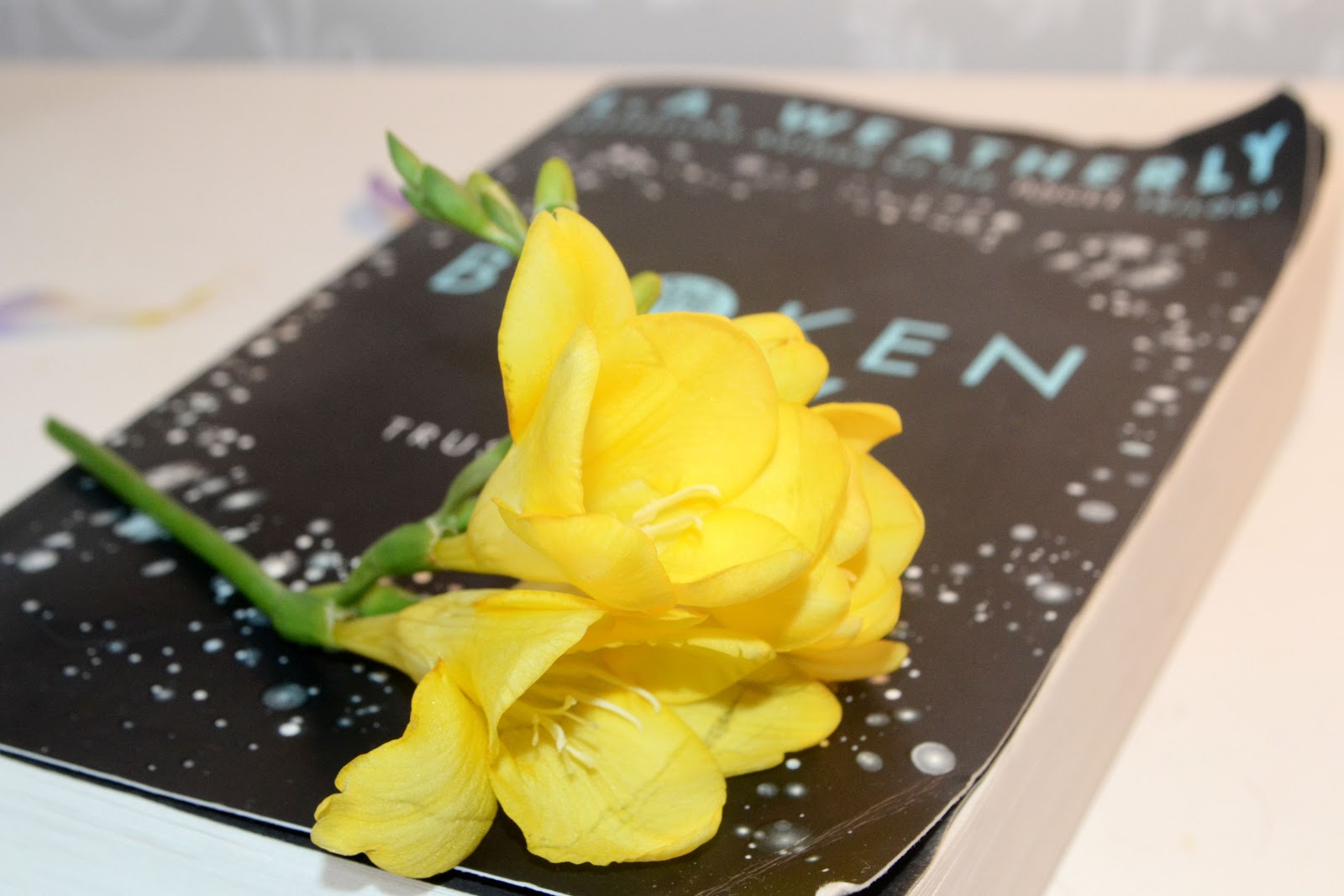 The Broken Sky Book Review | ShannonKims