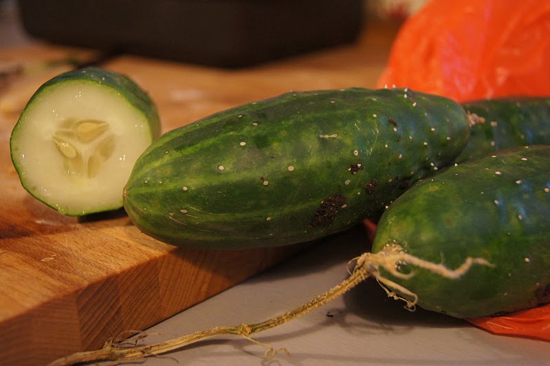 SALAD DAYS, OFFAL NIGHTS Cucumber with malt vinegar