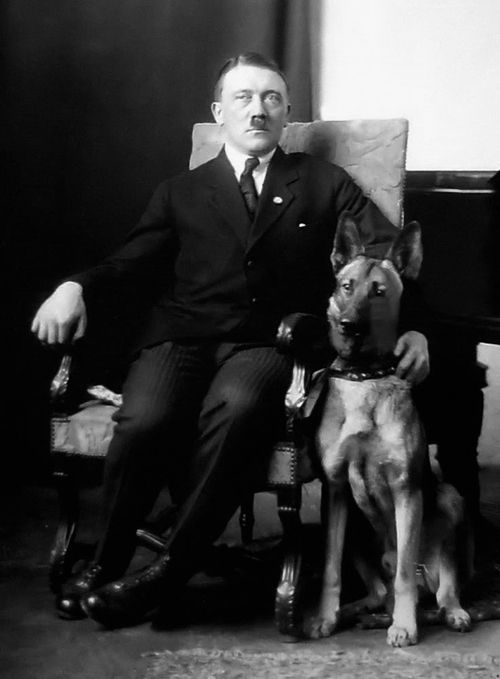 HISTÓRIA LICENCIATURA Fotos de Hitler e Seu Amado cão Blondi