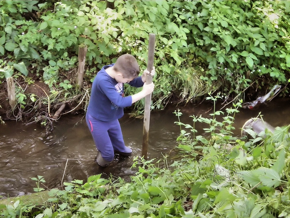 PaulasBilderFotoAllerlei unser Bach