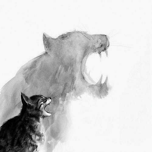 Lukisan Dari Pensil Yang Mengagumkan Segala Fakta