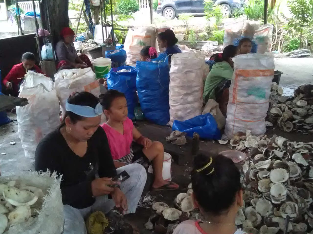 Parmi dan Heni pencukil buah kelapa tempat Hendra bekerja Parmi dan Heni pencukil buah kelapa tempat Hendra bekerja