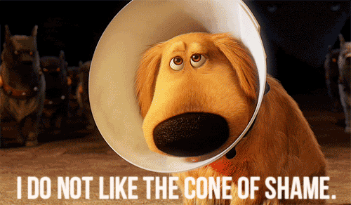 tumblr_lceq8vqQeG1qa9g0zo1_500.gif