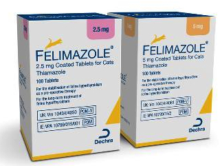 Kitty Vs Methimazole Kitty Losing Cat Hyperthyoidism Resolved Ask Metafilter