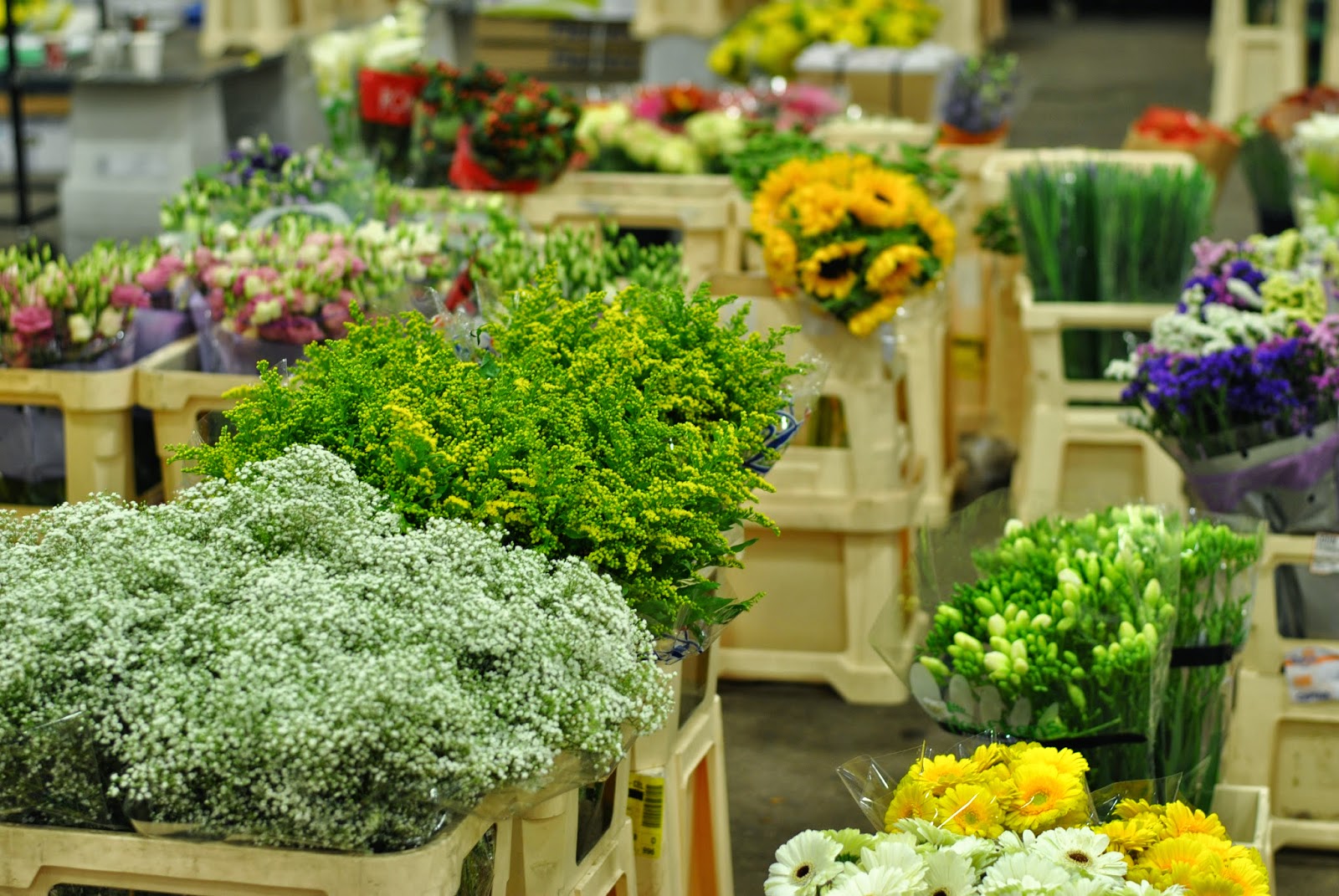 Knicker Elastic Fantastic New Covent Garden Flower Market