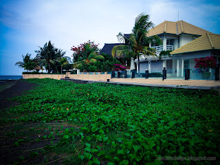 Beachfront Villa And Natural Ipomoea Pes Caprae Or Beach Morning Glory Plants At Umeanyar Village, North Bali, Indonesia