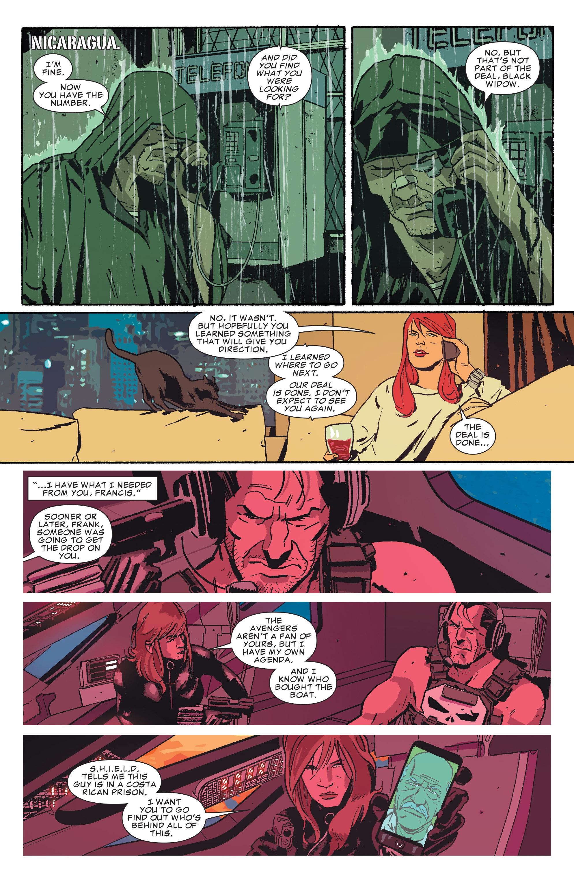 The Punisher (2014) issue 11 - Page 13