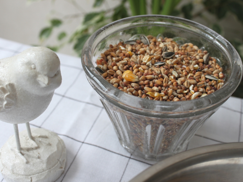 Mandy Bla Bla: DIY : boules de graisse & graines pour les oiseaux